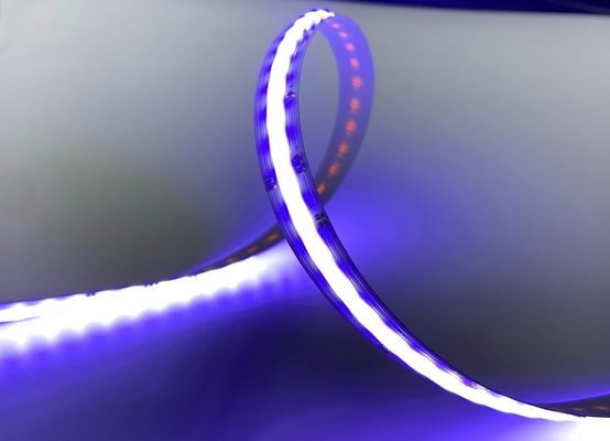 Série standard flexible de la couleur IP20 de la lumière de bande de l'ÉPI LED de RGBW 4-In-1