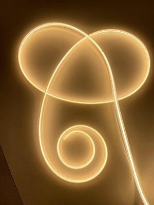 IP68 imperméabilisent la bande d'ÉPI de LED 10w 10mm pour l'éclairage extérieur